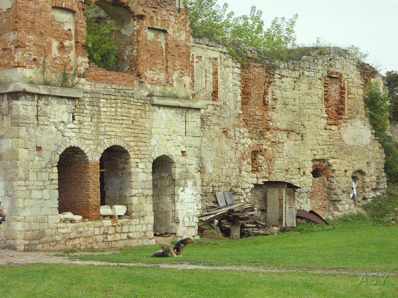 img0266.jpg - Zamek w Brzeżanach
