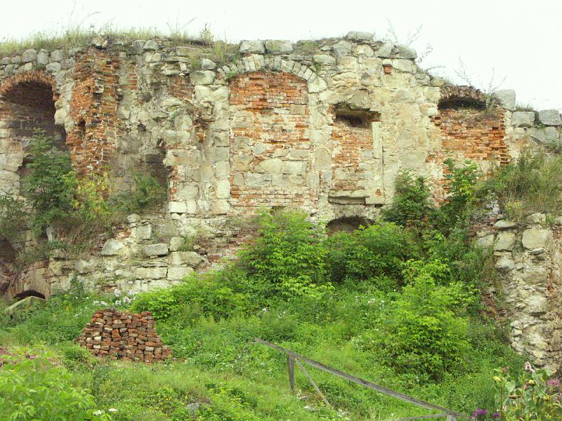 img0267.jpg - Zamek w Brzeżanach