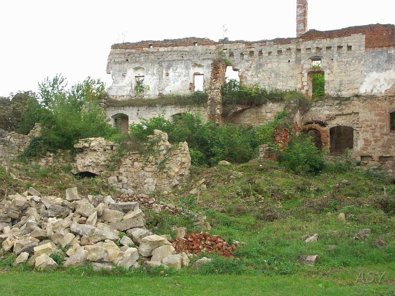 img0276.jpg - Zamek w Brzeżanach