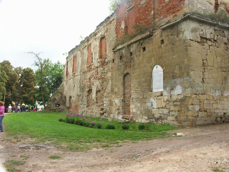 img0282.jpg - Zamek w Brzeżanach