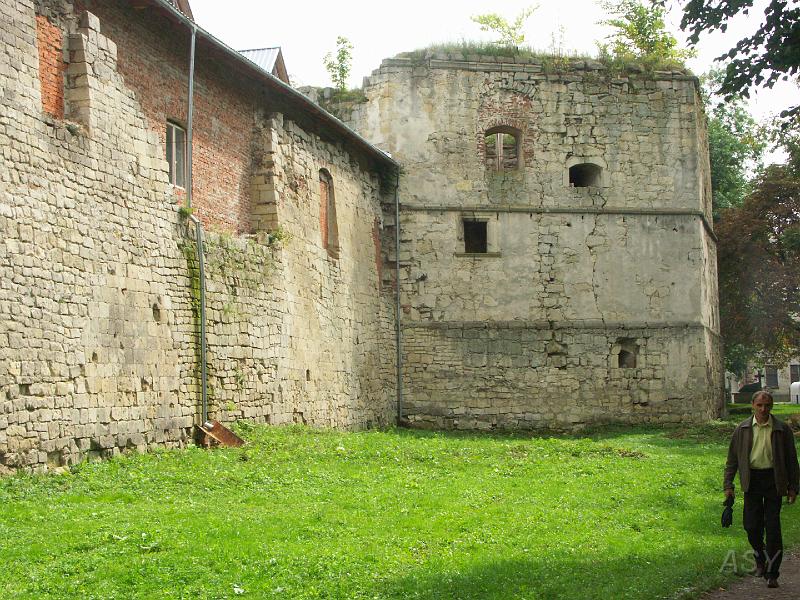 img0285.jpg - Zamek w Brzeżanach
