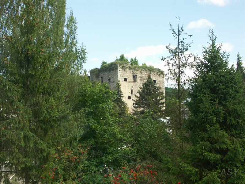 img0469.jpg - Zamek w Ujeździe