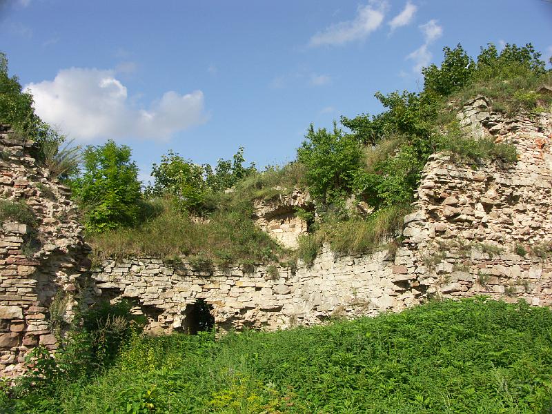 img0493.jpg - Zamek w Ujeździe