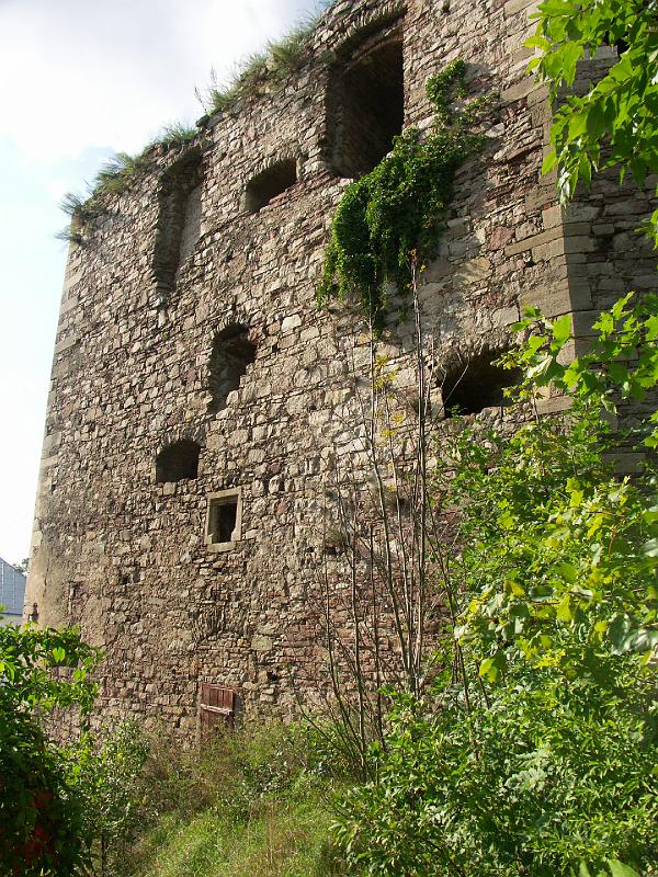 img0498.jpg - Zamek w Ujeździe