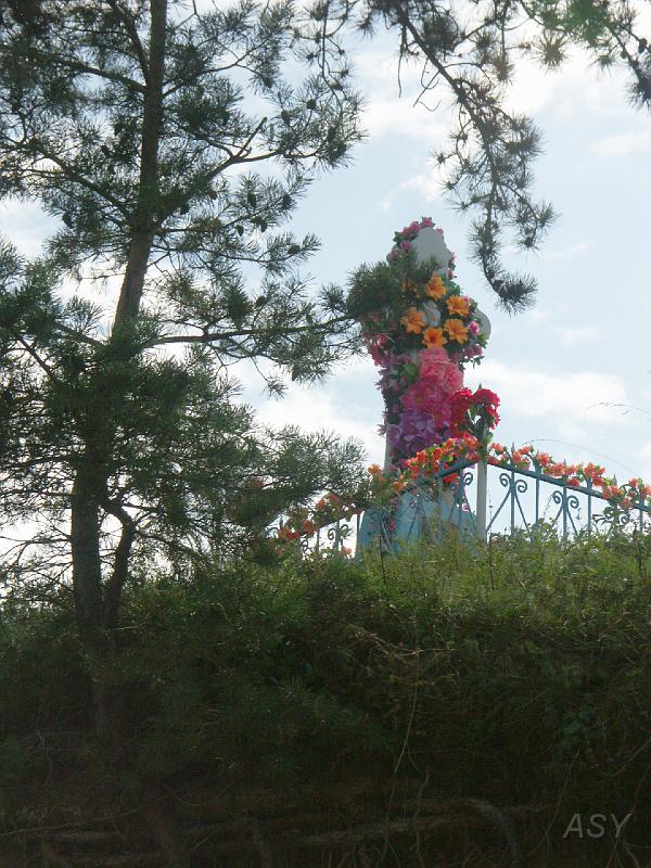 img0602.jpg