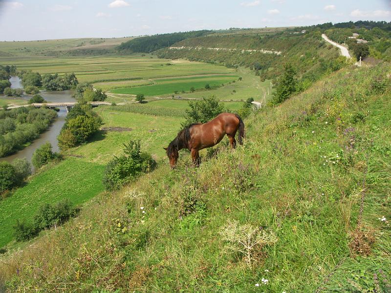 img0619.jpg