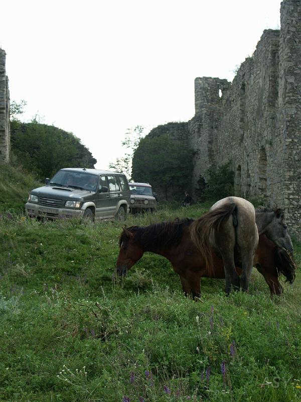 img0627.jpg