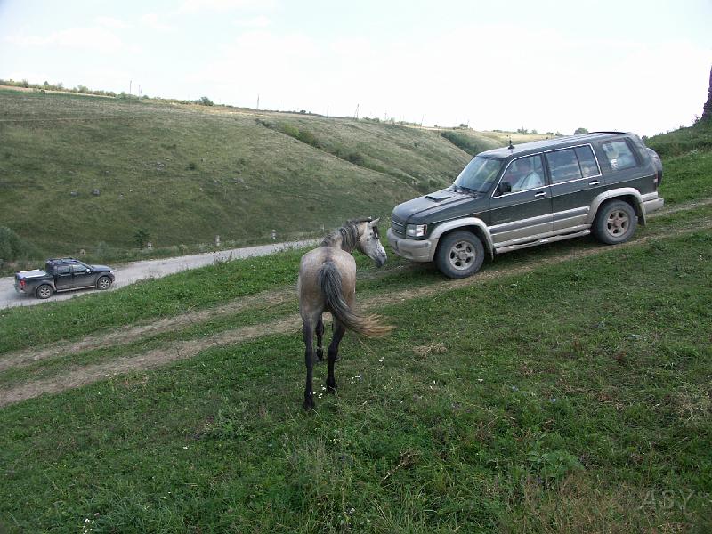 img0629.jpg