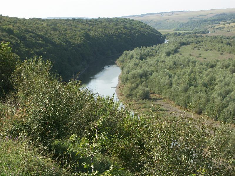 img0687.jpg