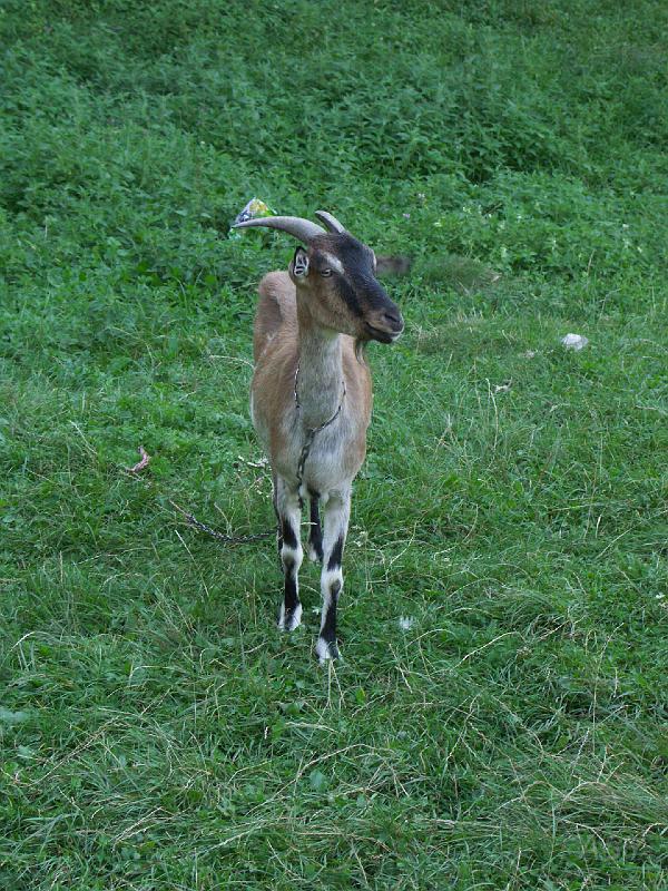 img0986.jpg