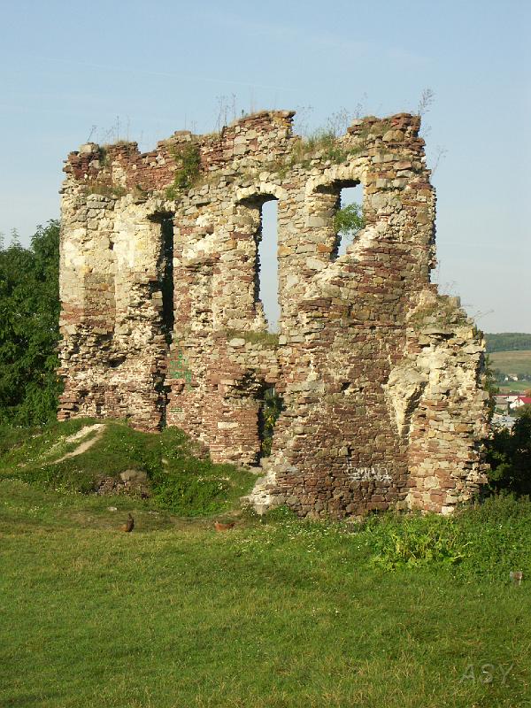 img0987.jpg - Ruiny podzameczku w Buczaczu