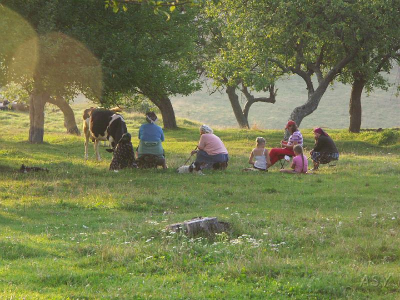 img0999.jpg