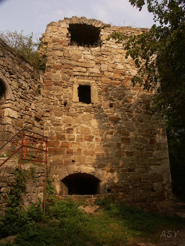 img1031.jpg - Zamek w Trembowli