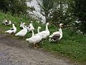 img0356