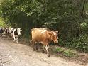 img0674