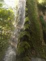 img0770