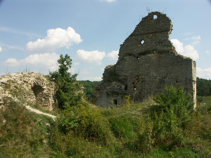 PICT0335.JPG