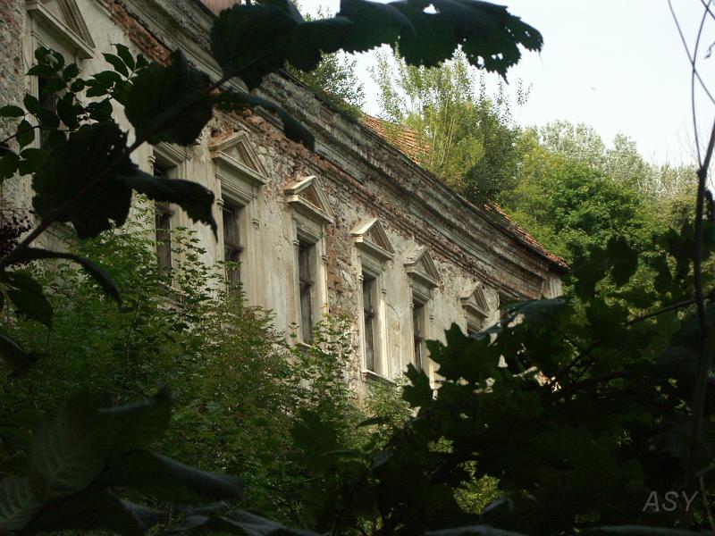 PICT0474.JPG
