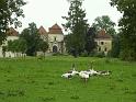 PICT0209